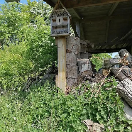 Prázdninový dům Kranichnest Bodstedt