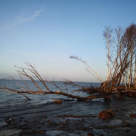 Kranichnest Bodstedt